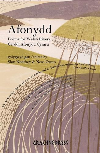 Cover image for Afonydd