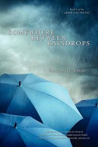 Cover image for Somewhere Between Raindrops