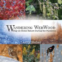 Cover image for Wandering Webwood