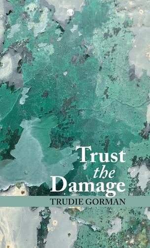 Cover image for Trust the Damage