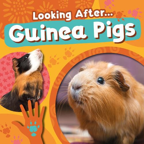 Cover image for Guinea Pigs