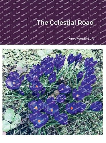 The Celestial Road