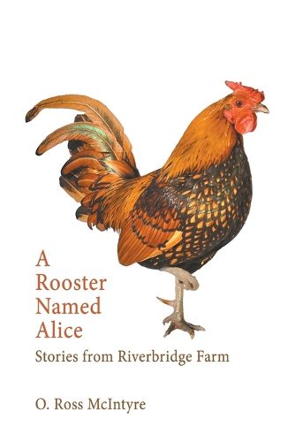 Cover image for A Rooster Named Alice