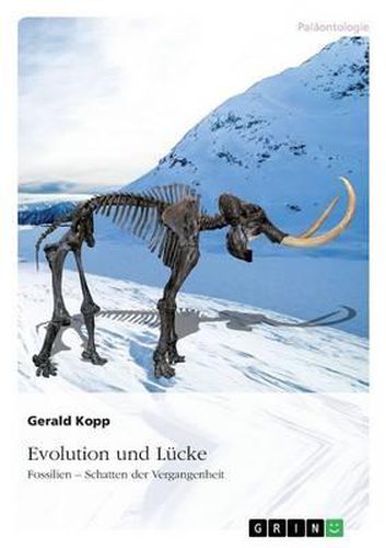 Cover image for Evolution Und Lucke