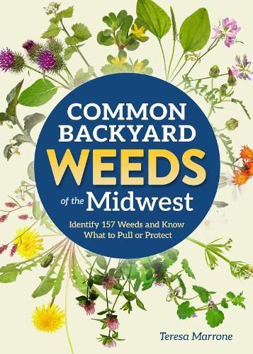 Cover image for Common Backyard Weeds of the Midwest
