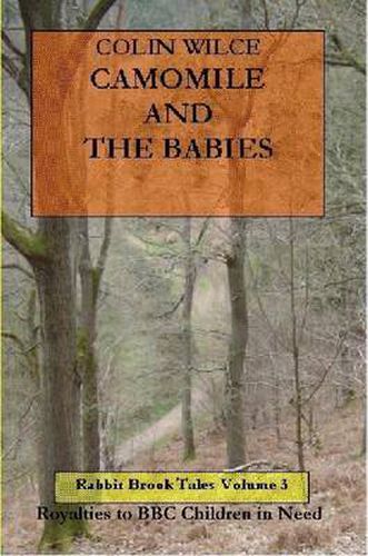 Cover image for Camomile and the Babies (Rabbit Brook Tales Volume 3)