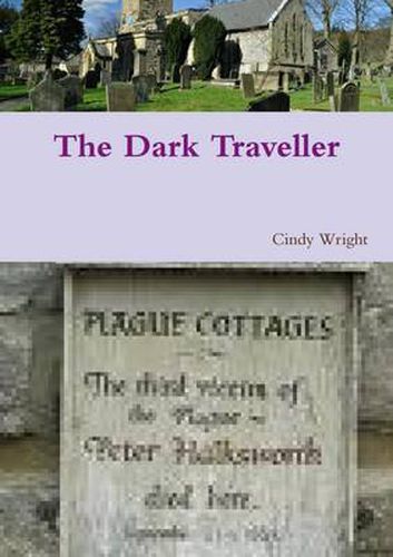 Cover image for The Dark Traveller