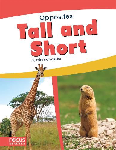 Cover image for Opposites: Tall and Short