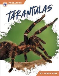 Cover image for Predators: Tarantulas