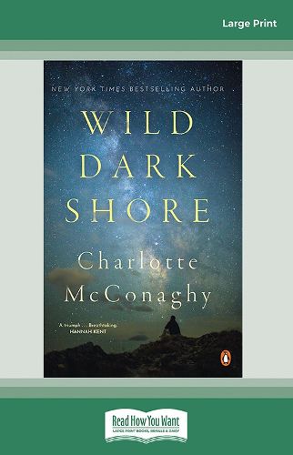Cover image for Wild Dark Shore