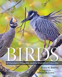 Cover image for Birds of Maryland, Delaware, and the District of Columbia
