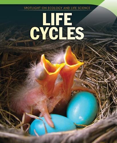 Cover image for Life Cycles