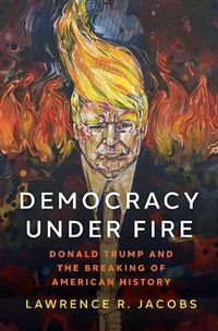 Cover image for Democracy under Fire