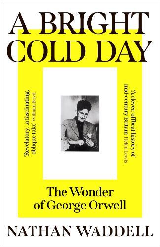 Cover image for A Bright Cold Day