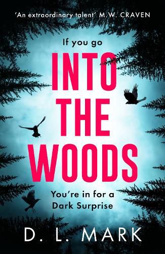 Cover image for Into the Woods
