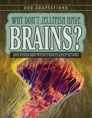 Why Don't Jellyfish Have Brains?: And Other Odd Invertebrate Adaptations