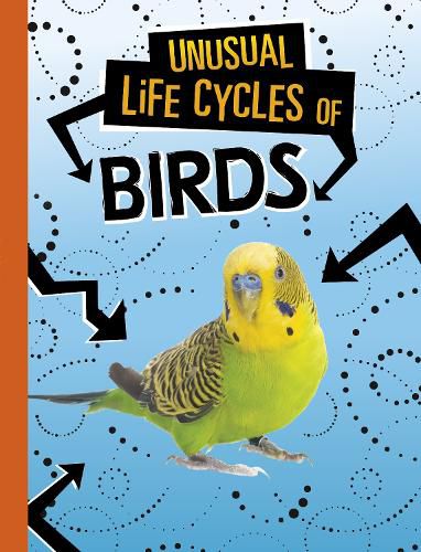 Cover image for Unusual Life Cycles of Birds