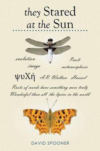 Cover image for They Stared at the Sun