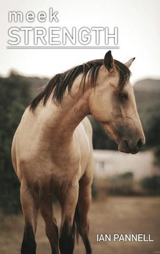 Cover image for Meek Strength