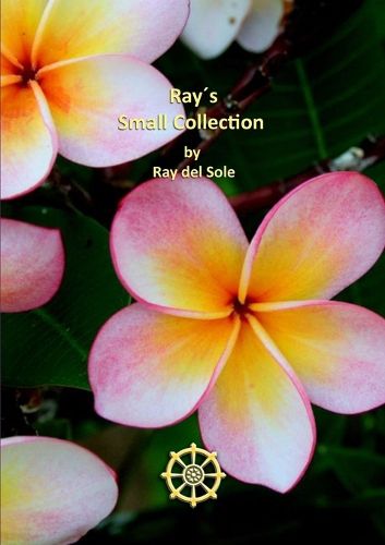 Cover image for Ray's Small Collection