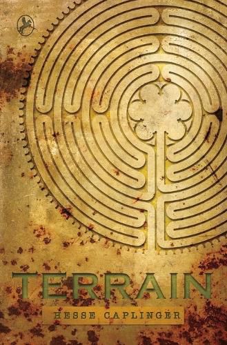 Cover image for Terrain