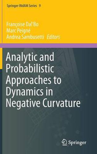 Analytic and Probabilistic Approaches to Dynamics in Negative Curvature