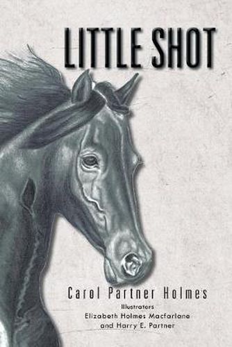 Cover image for Little Shot