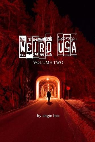 Cover image for Weird, USA Vol. 2