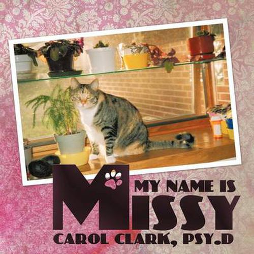 Cover image for My Name Is Missy