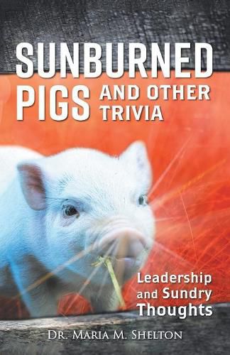 Cover image for Sunburned Pigs and Other Trivia