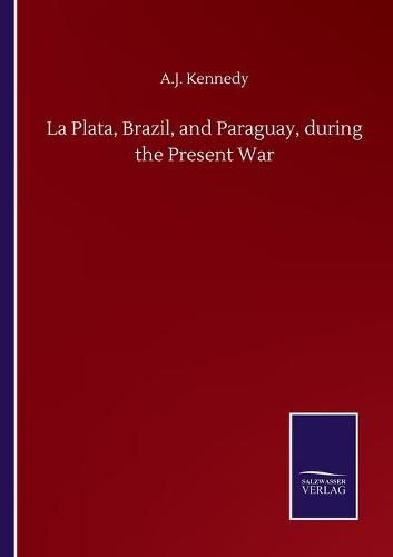 Cover image for La Plata, Brazil, and Paraguay, during the Present War