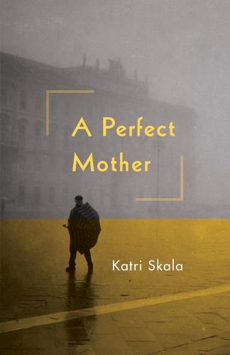 Cover image for A Perfect Mother