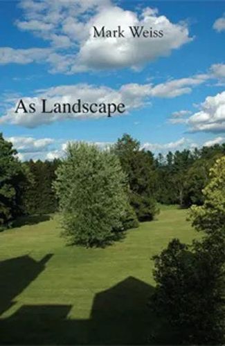Cover image for As Landscape