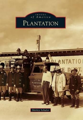 Cover image for Plantation