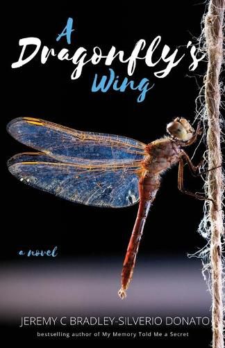 Cover image for A Dragonfly's Wing