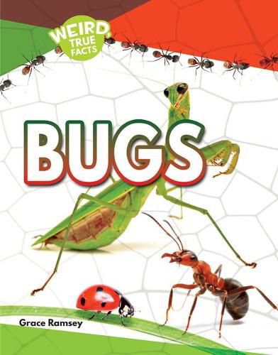 Cover image for Bugs