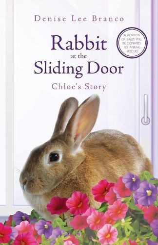 Cover image for Rabbit at the Sliding Door