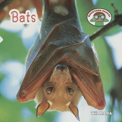 Cover image for Bats