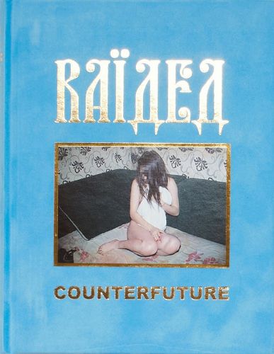 Cover image for Raided