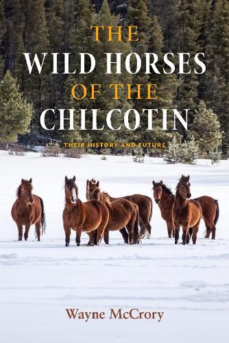 Cover image for The Wild Horses of the Chilcotin