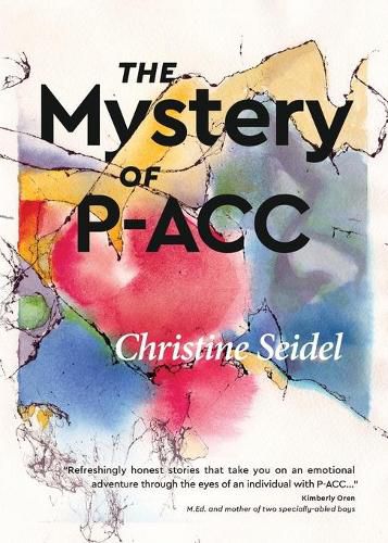 Cover image for The Mystery of P-ACC