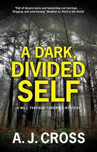 Cover image for A Dark, Divided Self