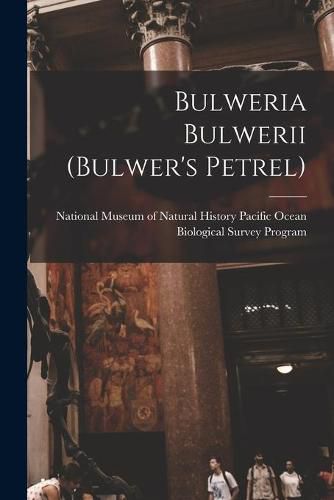 Cover image for Bulweria Bulwerii (Bulwer's Petrel)