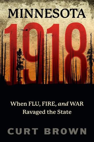 Cover image for Minnesota, 1918: When Flu, Fire, and War Ravaged the State