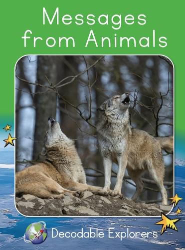 Cover image for Messages from Animals