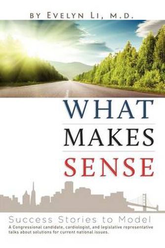 Cover image for What Makes Sense: Success Stories to Model