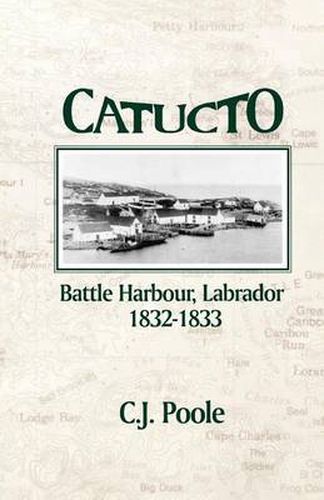 Cover image for Catucto