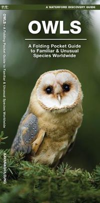 Cover image for Owls: A Folding Pocket Guide to Familiar Species Worldwide