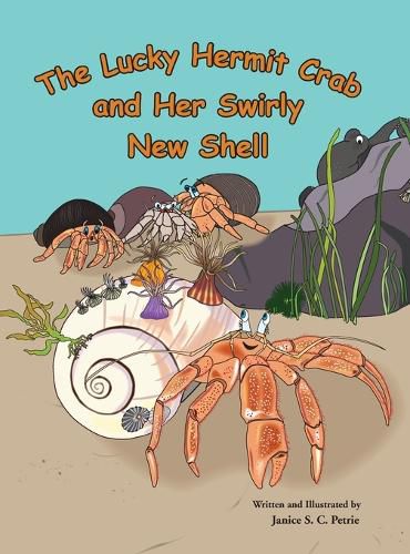 Cover image for The Lucky Hermit Crab and Her Swirly New Shell