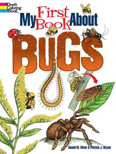 Cover image for My First Book About Bugs
